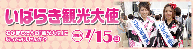 ���΂炫�ό���g ��W