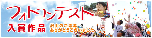 �t�H�g�R���e�X�g���܍�i