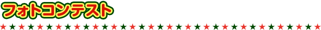 フォトコンテスト